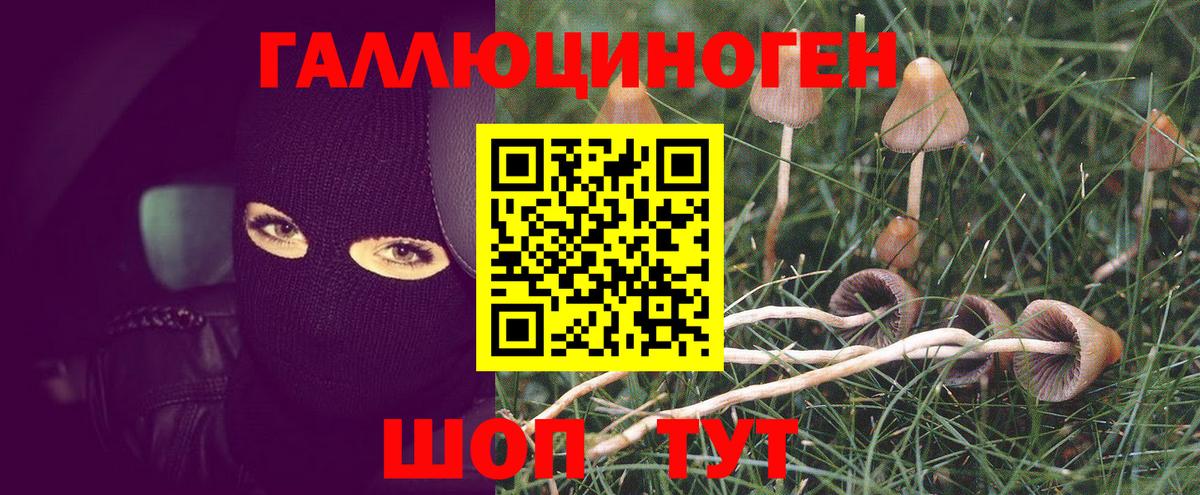 где можно купить   Псилоцибиновые грибы MAGIC MUSHROOMS  Вход с VPN  Муром 