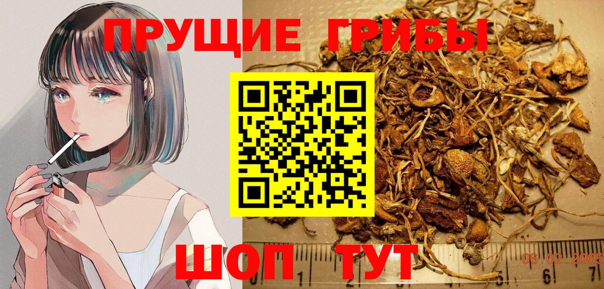 Псилоцибиновые грибы MAGIC MUSHROOMS Муром